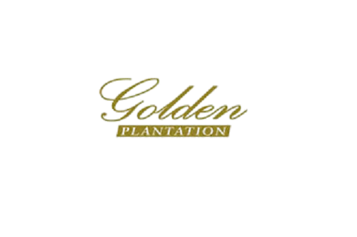Golden Plantation